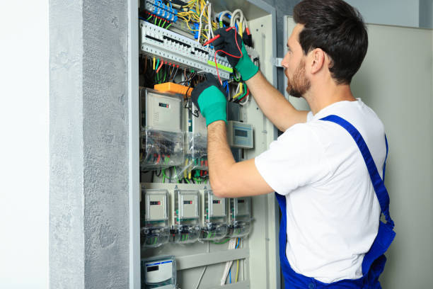 Best Electrical System Inspection  in Dellwood, MN