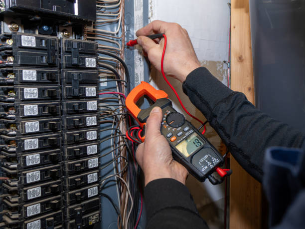 Best Electric Panel Repair  in Dellwood, MN